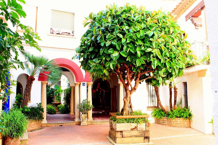 Patio andaluz